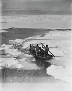 Working the pram (rowing boat) through pack ice to hunt penguins. December 1910 Working the pram (rowing boat) through pack ice to hunt penguins. December 1910