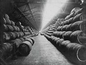 Import Gallery: 10000 barrels of rum in store at West India Docks, London, England undated