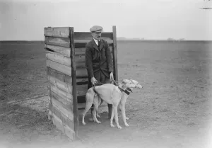 Dog Racing Prints: The Waterloo Cup at Altcar Print, 21 April 1920