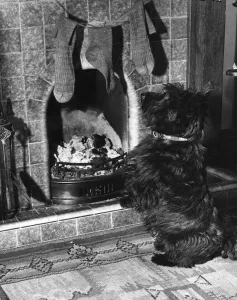 Related Prints: Scottie Dog Guards the Chimney Print