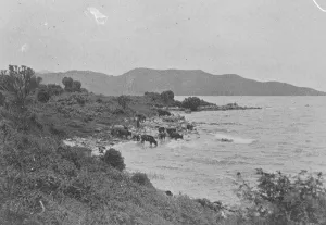 Lakes Gallery: Lake Kivu Collection