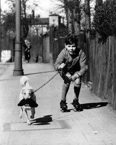 Boy rollerskating on the pavement with his pet dog on a lead, who is carrying Boy rollerskating on the pavement with his pet dog on a lead, who is carrying