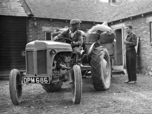 Bryckden Place Farm, Waldron Sussex, is a perfectly run farm with the most modern dairy a T Bryckden Place Farm, Waldron Sussex, is a perfectly run farm with the most modern dairy a T