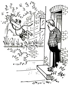 Cartoon by Sax When next doors garden becomes a jungle Cartoon by Sax When next doors garden becomes a jungle