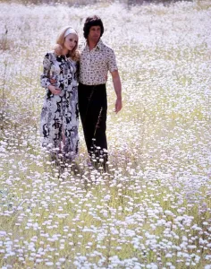 Couple walking through a field of daisies love couple romance romantic for valentines Couple walking through a field of daisies love couple romance romantic for valentines