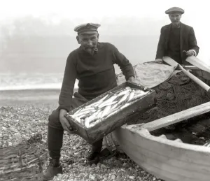 The Coxswain of the Aldeburgh lifeboat, Charlie Mann, with a catch of herrings The Coxswain of the Aldeburgh lifeboat, Charlie Mann, with a catch of herrings