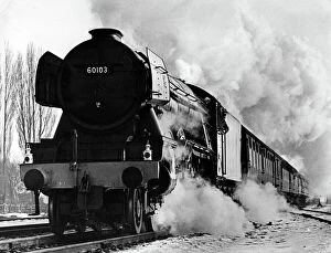 Locomotive Collection: The Flying Scotsman on its last journey when it pulled the 1