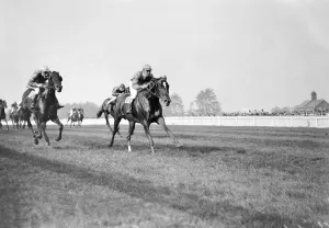 Gatwick racecourse, Sussex, England. Mr P Johnson s Tidebrook ( ridden by R Perryman ) Gatwick racecourse, Sussex, England. Mr P Johnson s Tidebrook ( ridden by R Perryman )