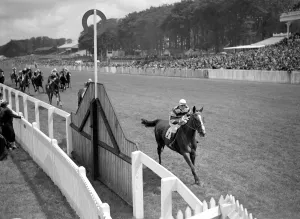 Goodwood Sussex England Bombay Duck winning the Craven Stakes Goodwood Sussex England Bombay Duck winning the Craven Stakes