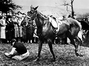 Images Dated 5th March 2002: Hawthorne, Berkshire - The Prince of Wales falls from his horse during the Welsh
