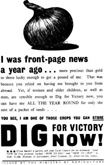 Homefront Food propaganda poster Dig for Victory. WW2