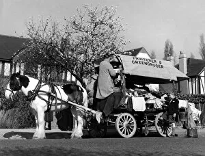 Images Dated 5th January 2006: Horse-drawn fruiterer and greengrocer on his rounds in 1955