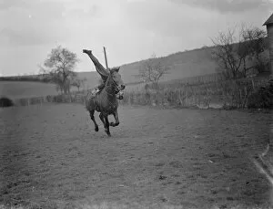 Horse trick riding in Eynsford, Kent. Mr Jorganoff performing a side stand whilst