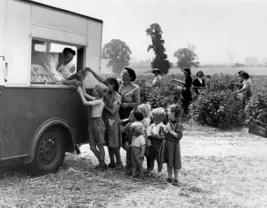 Ice Cream for the Fruit pickers The ice cream vendor does a steady trade throughout Ice Cream for the Fruit pickers The ice cream vendor does a steady trade throughout