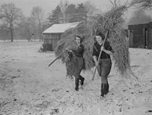 Land girls working on a farm. 1939