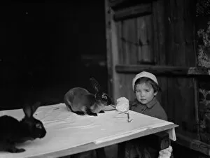 Animal Crackers Gallery: A little girl looks at the rabbits. 1937