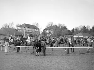 The picturesque paddock at Fontwell Park Racecourse, West Sussex, England The picturesque paddock at Fontwell Park Racecourse, West Sussex, England