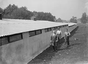 Pig barn, Foots Cray, Kent. 1935