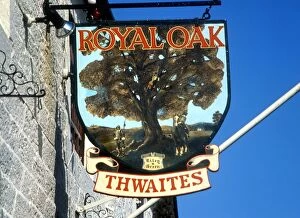 Images Dated 27th January 2005: Pub sign for one of the Thwaites Houses, The Royal Oak
