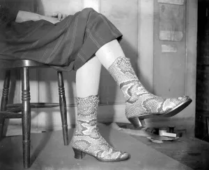 Related Images Gallery: Python skin boots at Gerrett and sons. 10 September 1925
