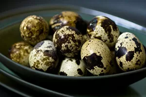 Quails eggs in their shells in dark green bowls stacked credit: Marie-Louise Avery