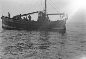 A Scarborough long line fishing in North Sea 1931 Fish where the fish are A Scarborough long line fishing in North Sea 1931 Fish where the fish are