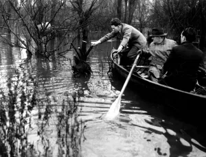 The Thames floods - Poultry farmers in the Thames area of Kent had to rescue their The Thames floods - Poultry farmers in the Thames area of Kent had to rescue their