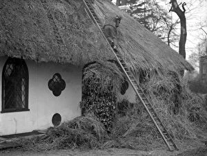 Nineteen Twenties Collection: Thatching the roof of the Hermitage headquarters of the Selboorne Society at Hanwell