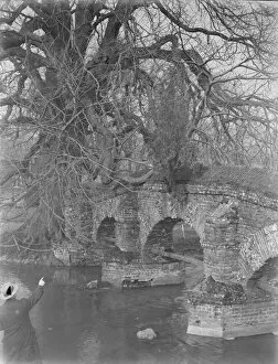 Nostalgia john tophams britain, tree growing base farningham bridge kent 1939