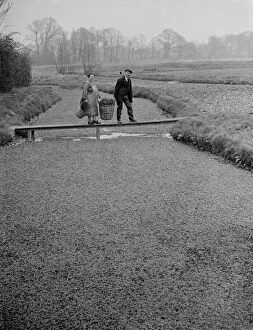 Rural Life Collection: The Watercress beds in Footscray, Kent cared for by Mr and Mrs Johnstone seen walking