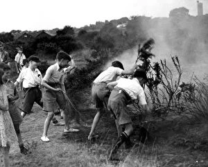 Images Dated 5th June 2003: Youngsters helping to quell a gorse fire on Dartford Heath, Kent. 1937