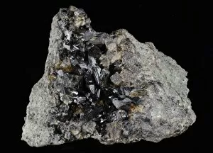 Images Dated 30th May 2013: Cassiterite, Wherry Mine, Wherrytown, Penzance, Cornwall, England