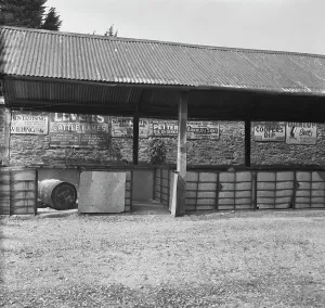 Cattle market, Lostwithiel, Cornwall. 1973 Cattle market, Lostwithiel, Cornwall. 1973