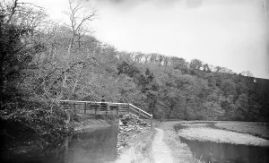Images Dated 15th January 2019: Liskeard to Looe Canal, Morval, Cornwall. Around 1890