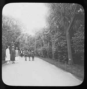 Images Dated 16th August 2018: Morrab Gardens, Penzance, Cornwall. 1920s