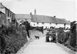 Pony and trap near the Bolingey Inn, Penwartha Road, Bolingey, Perranzabuloe, Cornwall Pony and trap near the Bolingey Inn, Penwartha Road, Bolingey, Perranzabuloe, Cornwall