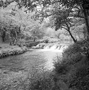 River Lynher, near Clapper Bridge, Quethiock, Cornwall. Possibly summer 1964