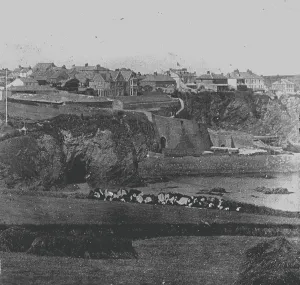 Tunnels Gallery: Rose pilchard cellar, Newquay, Cornwall. Before 1886
