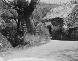 St Keyne's well, Cornwall. Early 1900s St Keyne's well, Cornwall. Early 1900s