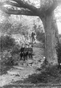 Forty Steps, Kenwyn, Cornwall. Early 1900s Forty Steps, Kenwyn, Cornwall. Early 1900s