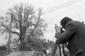 Poles Gallery: Tree Measurement, Lostwithiel, Cornwall. May 1992