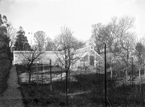 Treliske House, Truro, Cornwall. Around 1920 Treliske House, Truro, Cornwall. Around 1920