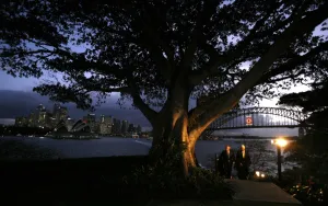 Apec-Summit-Australia-Us Apec-Summit-Australia-Us