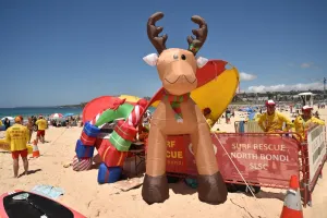 Reindeer Gallery: Australia-Christmas-Beach