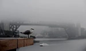 Australia-Weather-Fog Australia-Weather-Fog