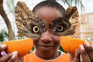 Offbeat Quirky Images Gallery: Britain-Animal-Butterfly