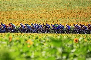 Tour De France Gallery: Cycling-Fra-Tdf-2010-Pack-Postcard