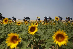 Cycling-Fra-Tdf2013-Pack-Postcard Cycling-Fra-Tdf2013-Pack-Postcard
