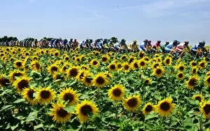Images Dated 3rd July 2005: Cycling-Tdf2005-Pack