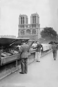 France-Paris-Feature-Monument-Notre Dame France-Paris-Feature-Monument-Notre Dame